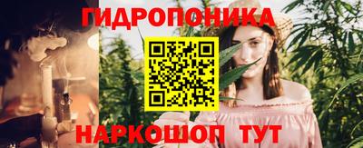 2c-b Будённовск